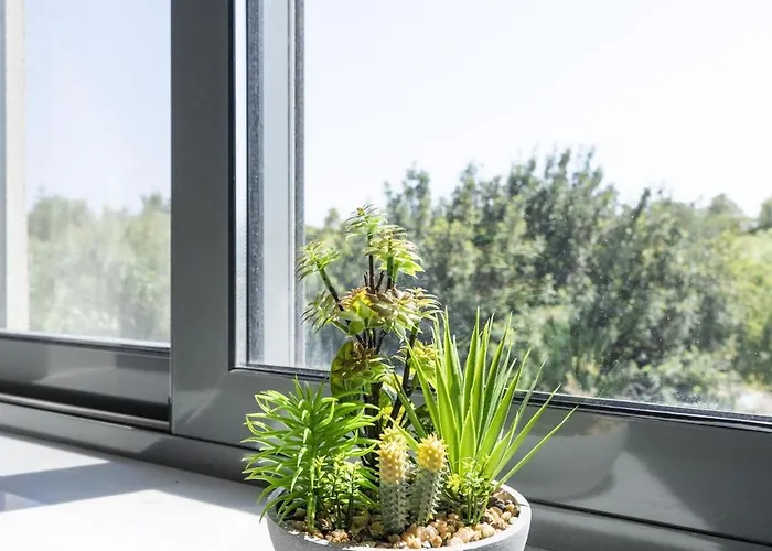 Milva Mare Luxury * İstanköy