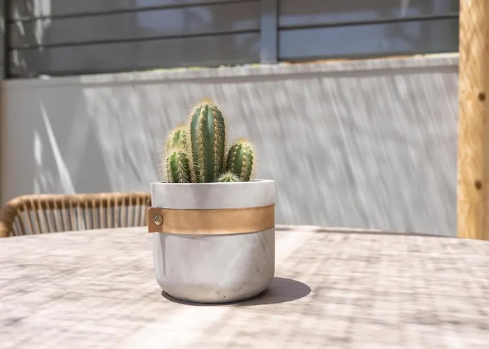 Milva Mare Luxury アパート